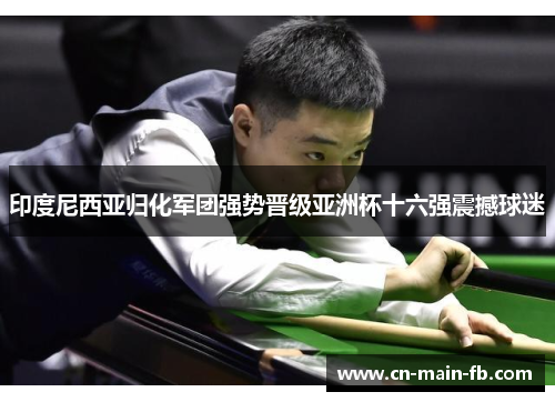 印度尼西亚归化军团强势晋级亚洲杯十六强震撼球迷