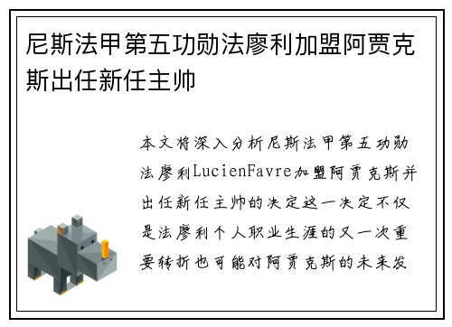 尼斯法甲第五功勋法廖利加盟阿贾克斯出任新任主帅 尼斯法甲第五功勋法廖利加盟阿贾克斯出任新任主帅